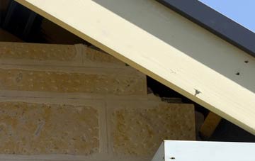 soffit repair Parton