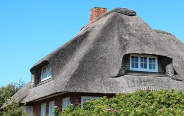 thatch roofing Parton