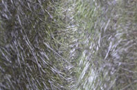 Parton fibreglass roof work